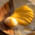 Thai Spice Spoon Recipe Cards - Khao Niew Mamuang