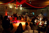 Hochzeitstanz - Wiener Walzer, Walzer, Cha cha, Tango, Jive, Disco Fox, Wiener Walzer