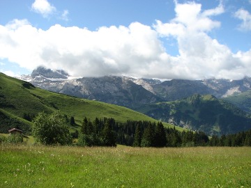 Bergwiesen und die Berner Alpen