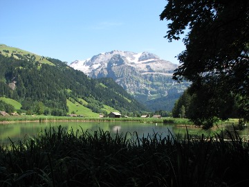 Blick in die Berner Alpen vom Lenkerseeli aus